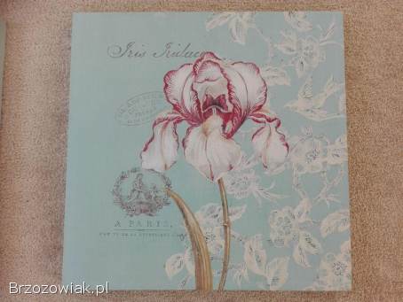 Komplet 2 obrazy canvas magnolia irys 50x50 cm