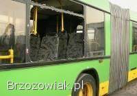 DORABIAMY SZYBY koparki ładowarki busa autobusu traktora -  wysyłka